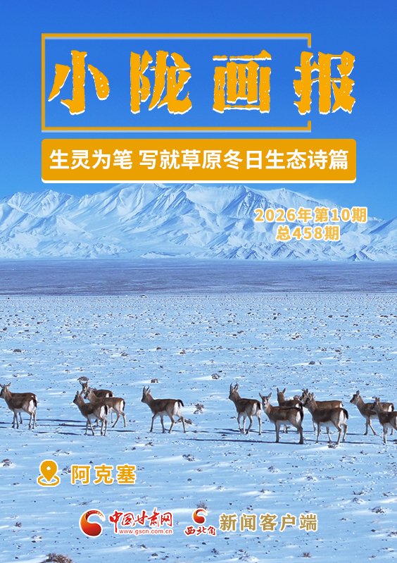 【小隴畫報·458期】阿克塞：生靈為筆 寫就草原冬日生態(tài)詩篇