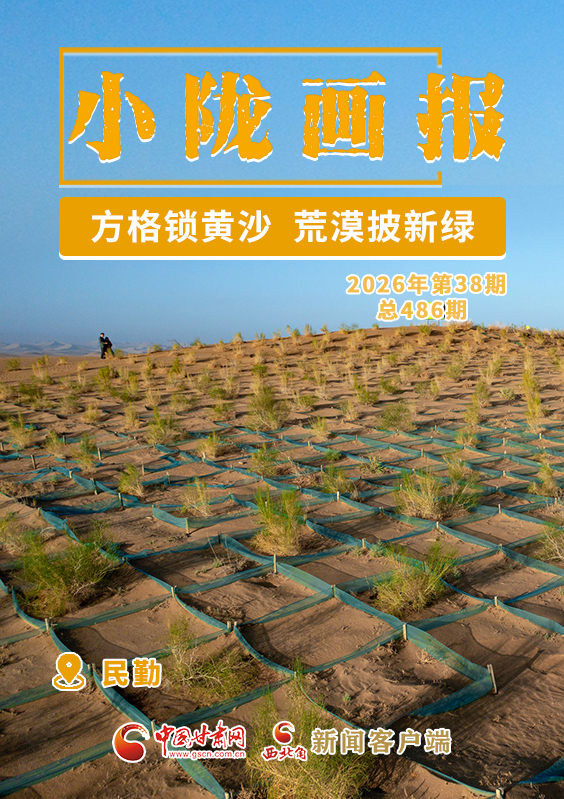 【小隴畫(huà)報(bào)·486期】民勤：方格鎖黃沙 荒漠披新綠